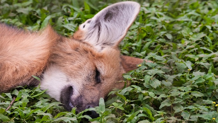 Notícia 9 – 19 de julho