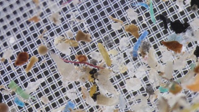 _103972892_c89d1ed5-890c-47bb-b830-4e9a19668659 (1)