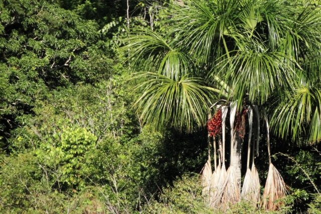 221c400775cbe0762fa92051fcf535d1_XL