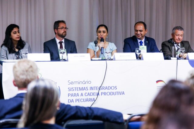 86259fbd458f2028523d70e329306384_XL (1)