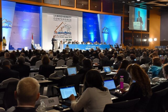 96439e31b77e8ae6ea5a835b78a01bba_XL