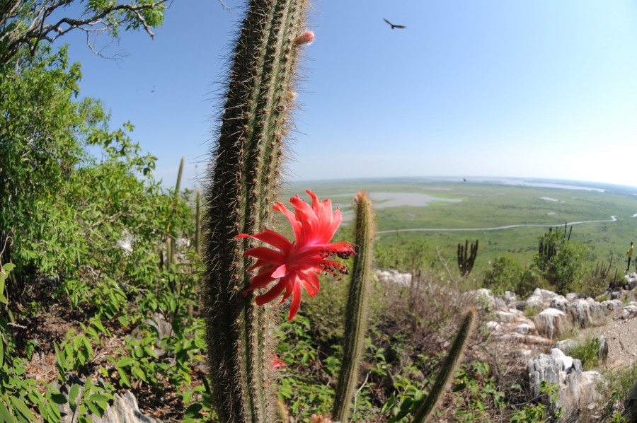 a565d548078345199786faa59d877674_XL