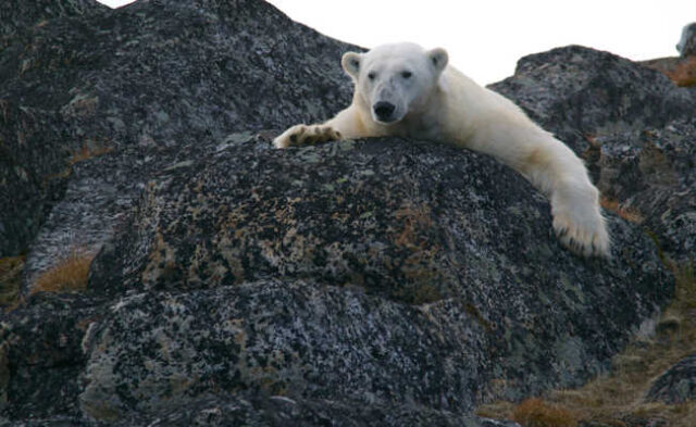 50-650-mudancas-climaticas.9