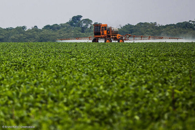 Soya Plantation in the AmazonPlantação de soja na Amazônia