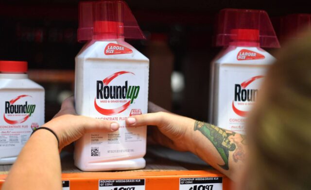 1557790956_441987_1557836484_noticia_normal_recorte1