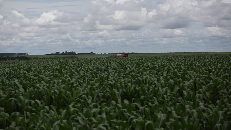 Pulverização-de-agrotóxicos-em-plantação-de-soja-no-norte-do-Mato-Grosso_Foto-Lunaé-Parracho