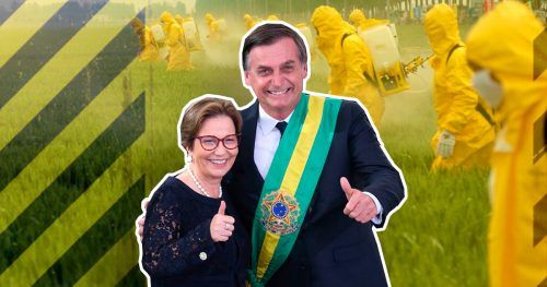 agrotoxicos-166-brasil-500×263