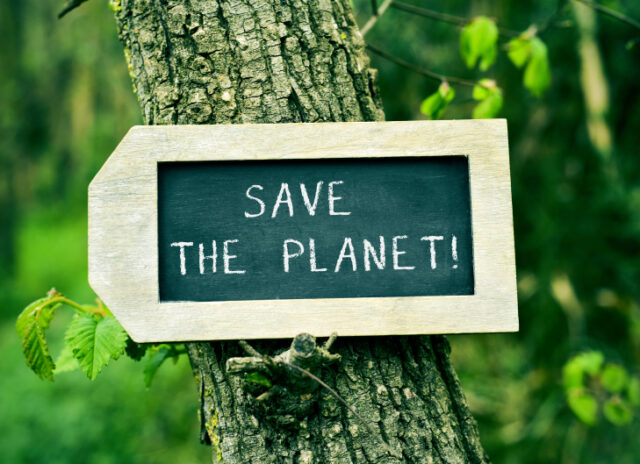 Bunch fresh cilantro and coriander seeds