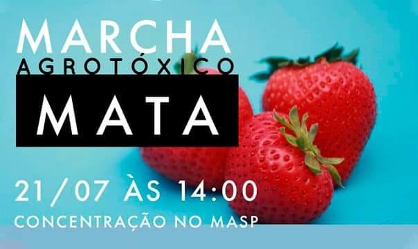 67301123_10156761792559545_2973356101824675840_n