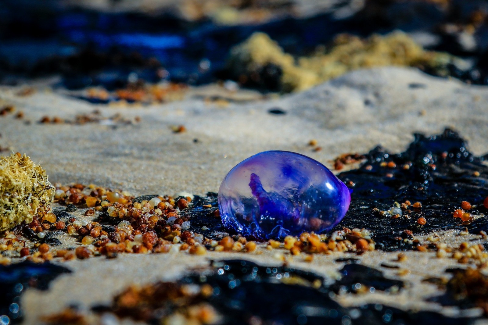 raw20191010011-qsbv8r6