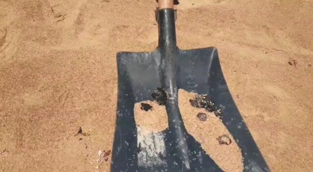 whatsapp-video-2019-11-09-at-12.07.13-2-.mp4-snapshot-00.19-2019.11.09-12.38.28-