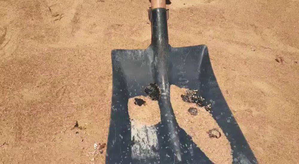 whatsapp-video-2019-11-09-at-12.07.13-2-.mp4-snapshot-00.19-2019.11.09-12.38.28-