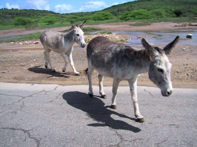 img20191129144756760-768×576