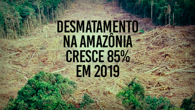 Desmatamento-na-Amazônia-cresce-85%-em-2019