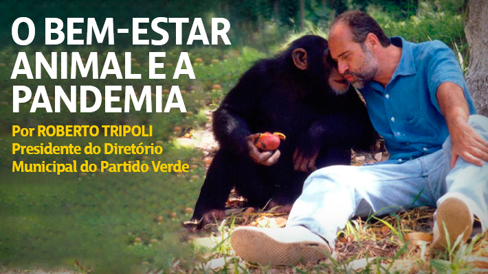 banner-O-bem-estar-animal-e-a-pandemia
