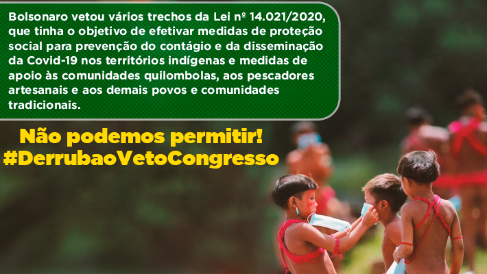 banner-Bancada-do-PV-apresenta-mocao-de-repudio-contra-vetos-e-politica-indigenista-de-Bolsonaro