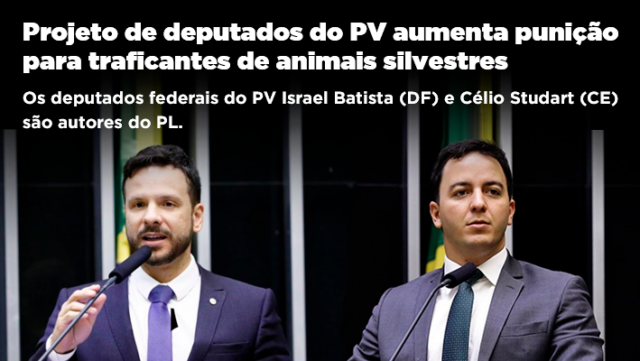 banner-Projeto-de-deputados-do-PV-aumenta-punicao-para-traficantes-de-animais-silvestres