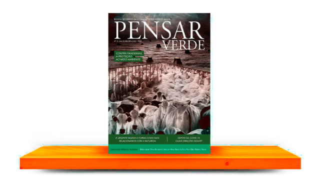 pensar_verde_31