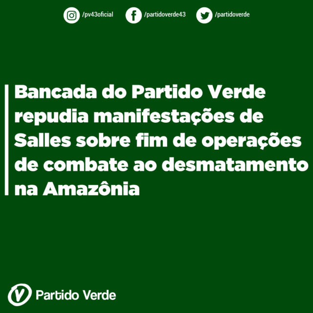 Bancada-do-Partido-Verde-repudia-manifestações-de-Salles-sobre-fim-de-operações-de-combate-ao-desmatamento-na-Amazônia