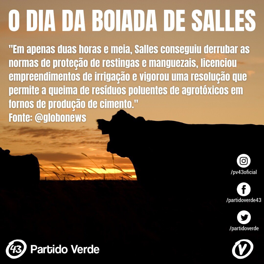 120362989_10157972209224545_1876082545976584244_o