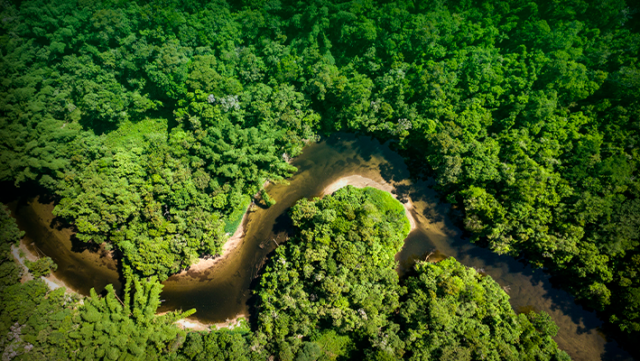Banner-PV-entra-com-acao-no-STF