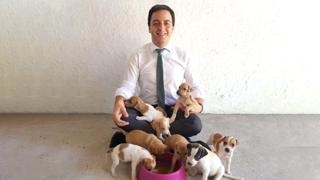 Mais-de-100-mil-manifestam-apoio-a-projeto-de-Celio-sobre-resgate-de-animais-em-emergencias