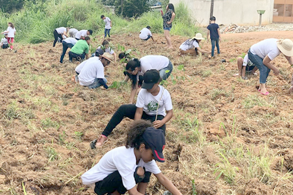 Banner-PV-apoia-acoes-do-Plant-For-The-Planet-para-reflorestamento-voluntario-cidadao