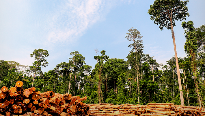 Banner-Nove-ex-ministros-do-Meio-Ambiente