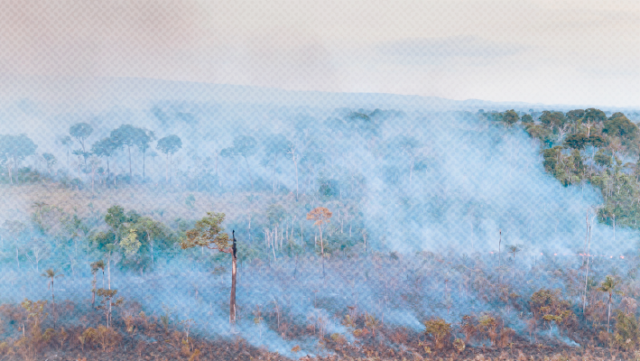 Banner Licenciamento