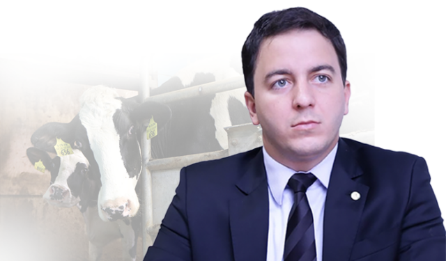Deputado-Celio-Studart-PV-CE-quer-revogar-artigo-que-permite-abate-de-vacas-em-fase-final-de-gestacao