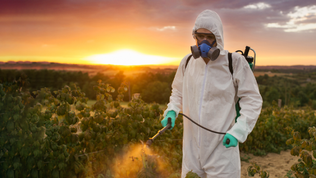 banner-Câmara-dos-Deputados-pode-avaliar-em-breve-o-PL-DO-VENENO