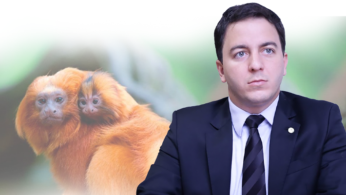 Projeto-de-lei-aumenta-pena-para-quem-comete-crime-contra-animais-ameacados-de-extincao