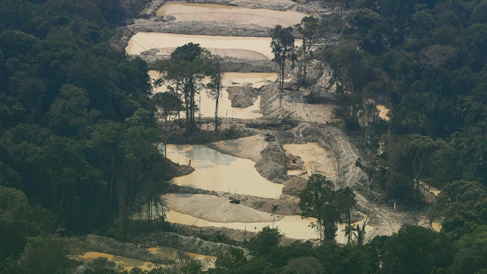 Banner-PV-entra-com-acao-no-STF-para-barrar-o-garimpo-na-Amazonia