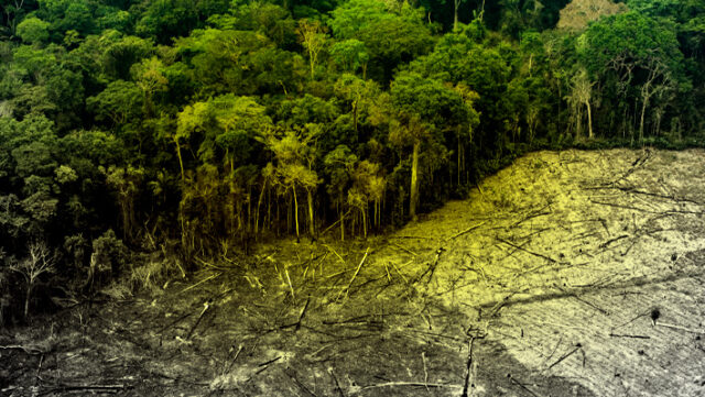 Banner-STF-aceita-ação-do-PV-e-freia-em-regime-de-urgência-projeto-de-lei-de-grilagem