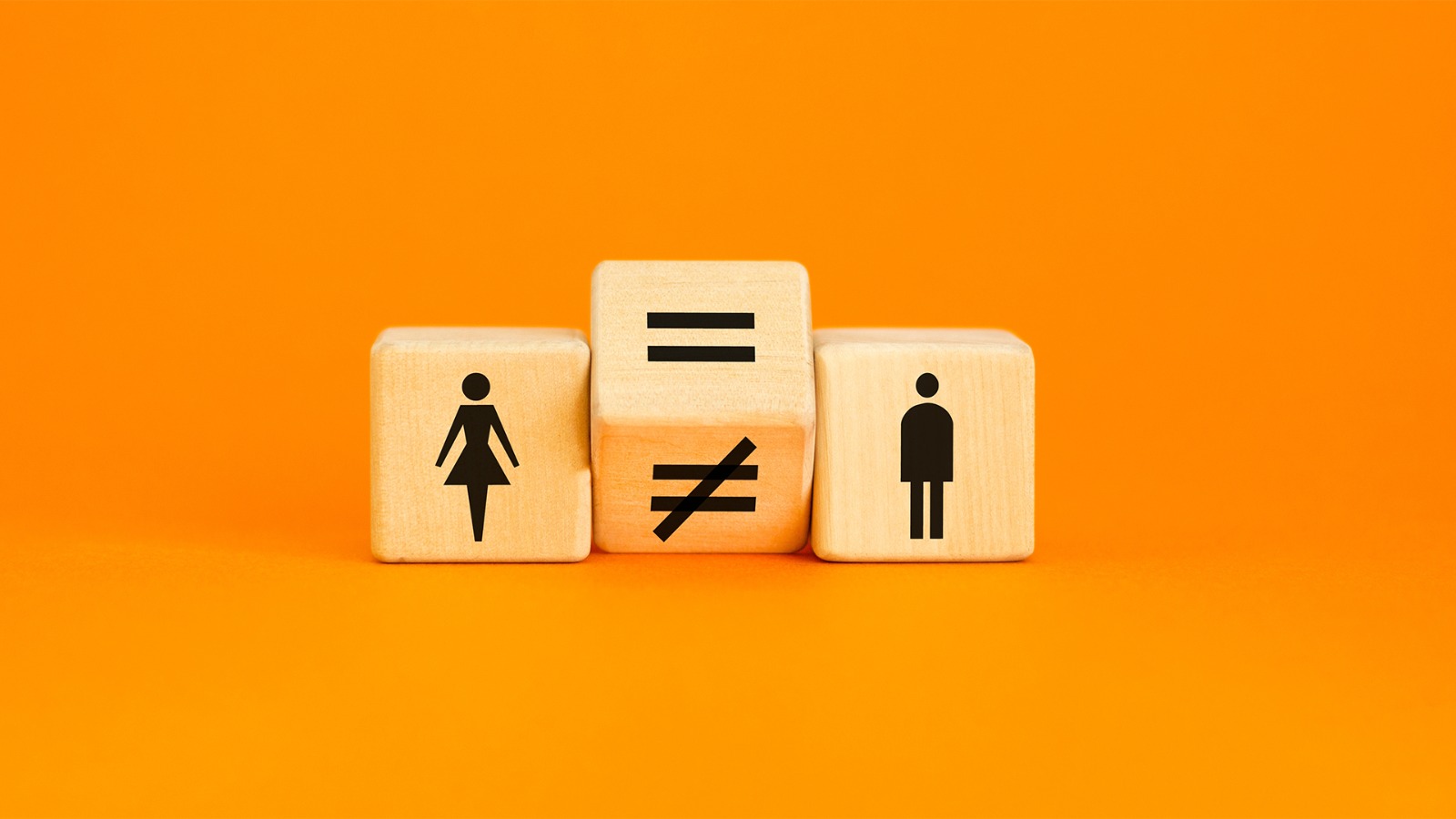 Imagem do WhatsApp de 2023-05-04 à(s) 15.10.01