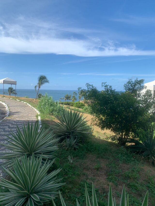 Imagem do WhatsApp de 2023-12-15 à(s) 12.17.58_4ff3e877